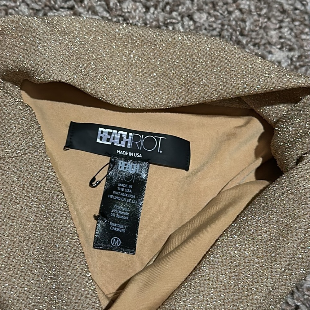 Beach Riot Bikini Bottom - Picture 3 of 3